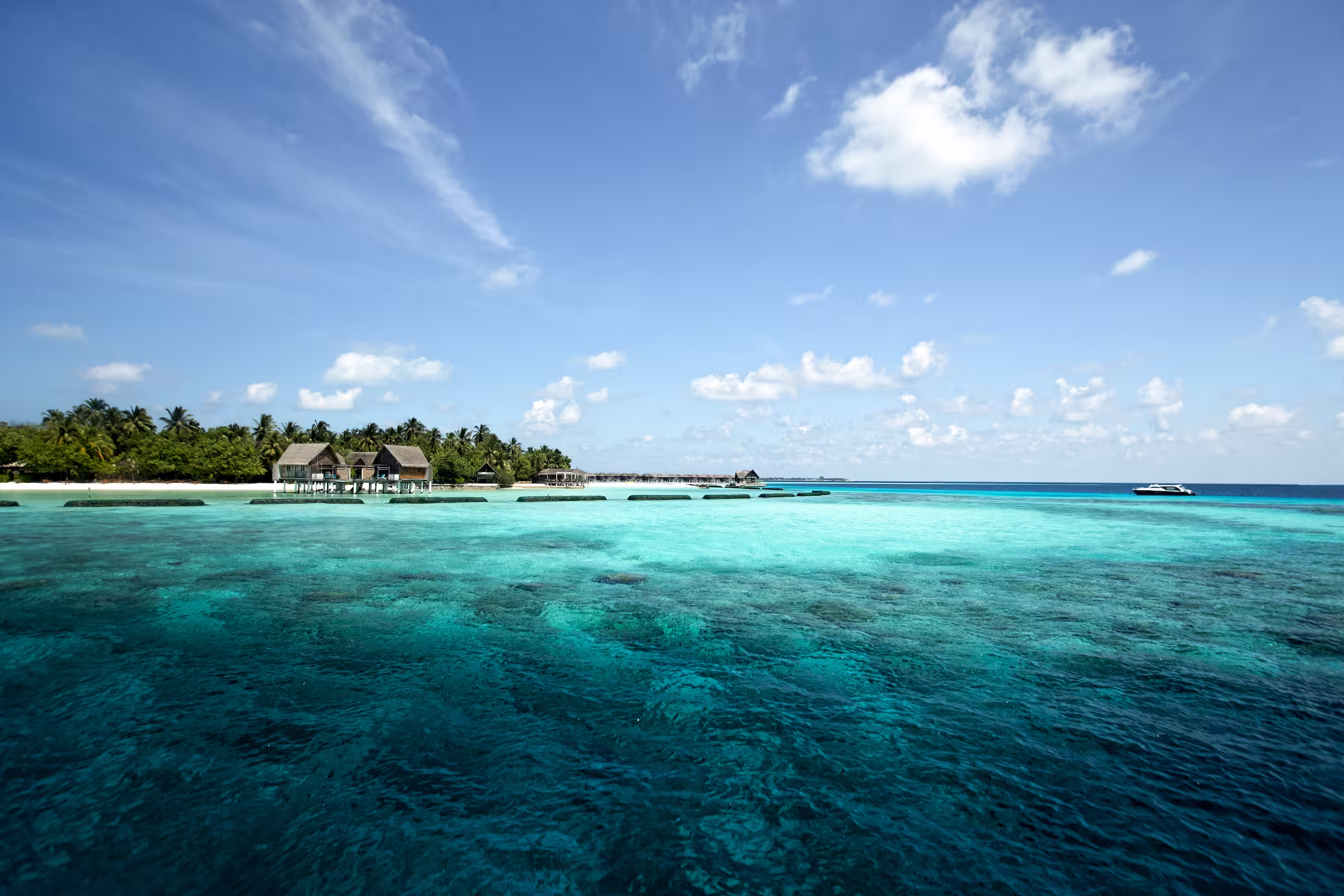 Sapori, mare ed esperienze esclusive per vivere ogni giornata secondo il ritmo delle Maldive. — immagine 8