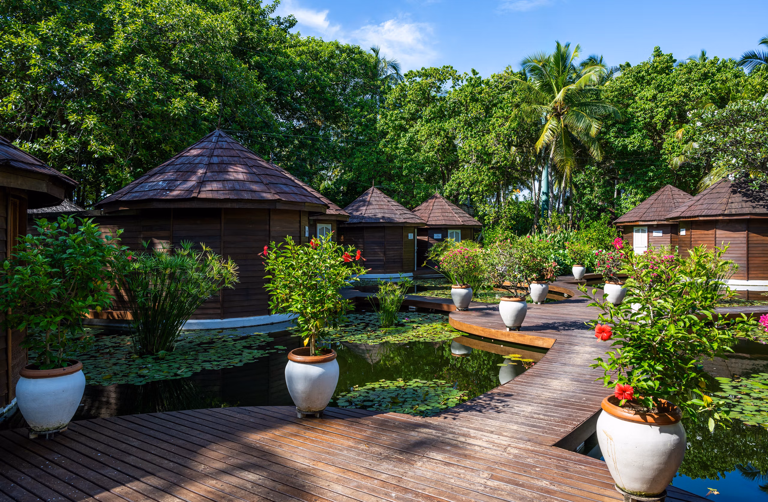 Sapori, benessere ed esperienze che raccontano l'anima più autentica delle Maldive. — immagine 6