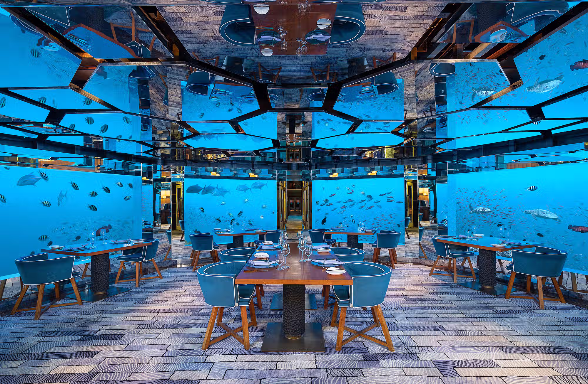 Cene sotto il mare, notti tra le stelle e giornate dedicate al reef, al benessere e alla scoperta. — immagine 2