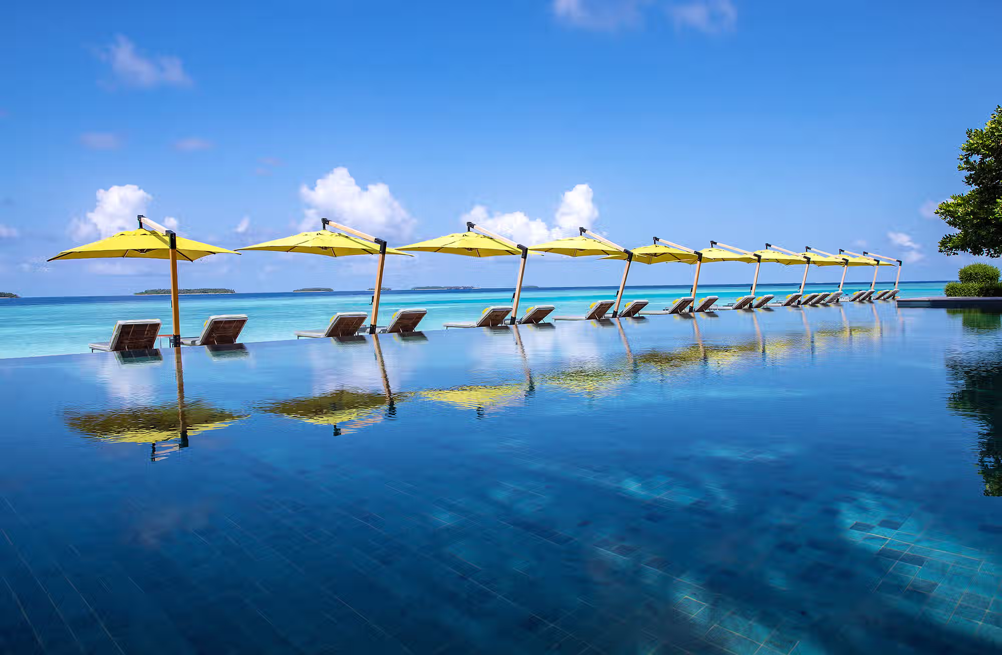 Cene sotto il mare, notti tra le stelle e giornate dedicate al reef, al benessere e alla scoperta. — immagine 4