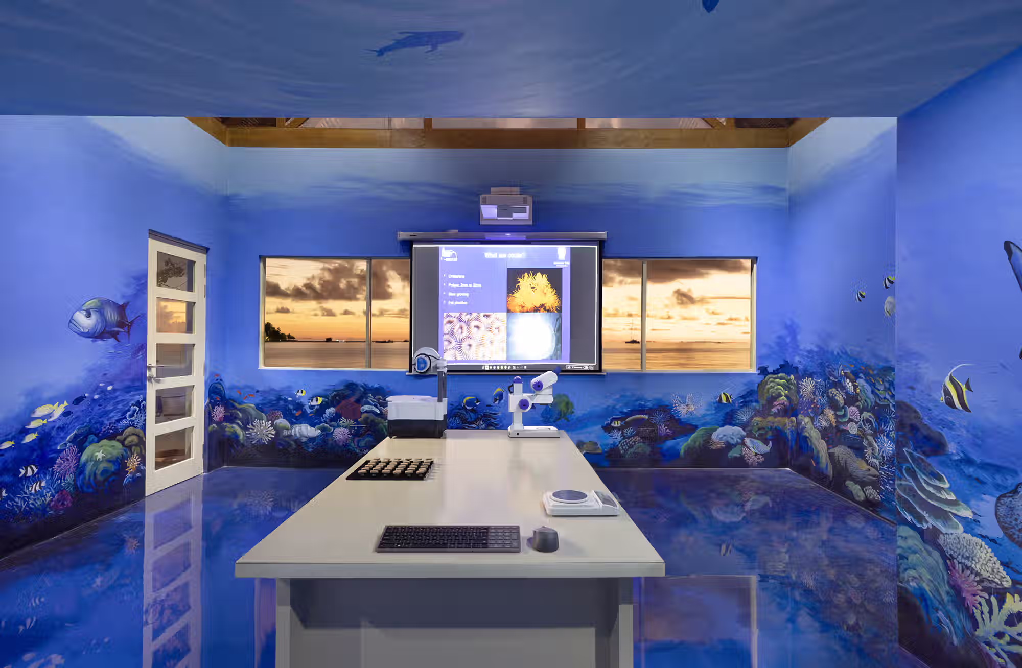 Cene sulla sabbia, immersioni con i biologi e rituali di benessere ispirati alla tradizione asiatica. — immagine 4