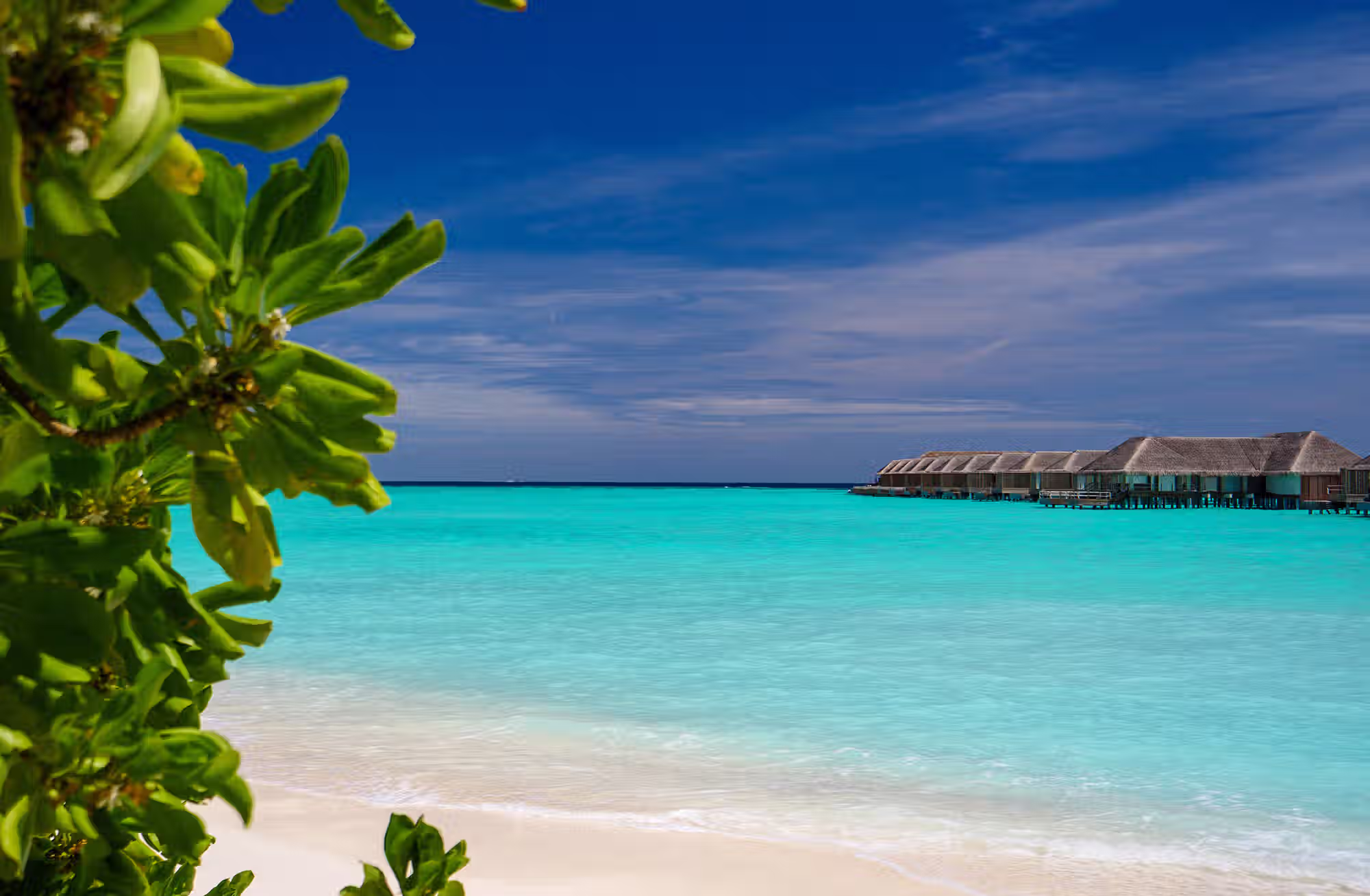 Sapori italiani, mare cristallino e benessere per vivere ogni giornata secondo i propri desideri. — immagine 3