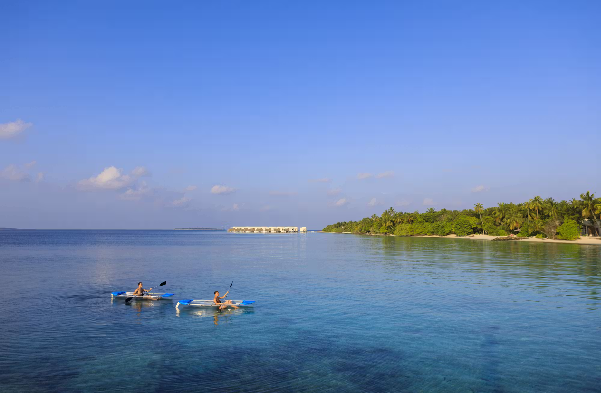 Sapori internazionali, benessere tropicale e incontri indimenticabili con il mondo marino. — immagine 3