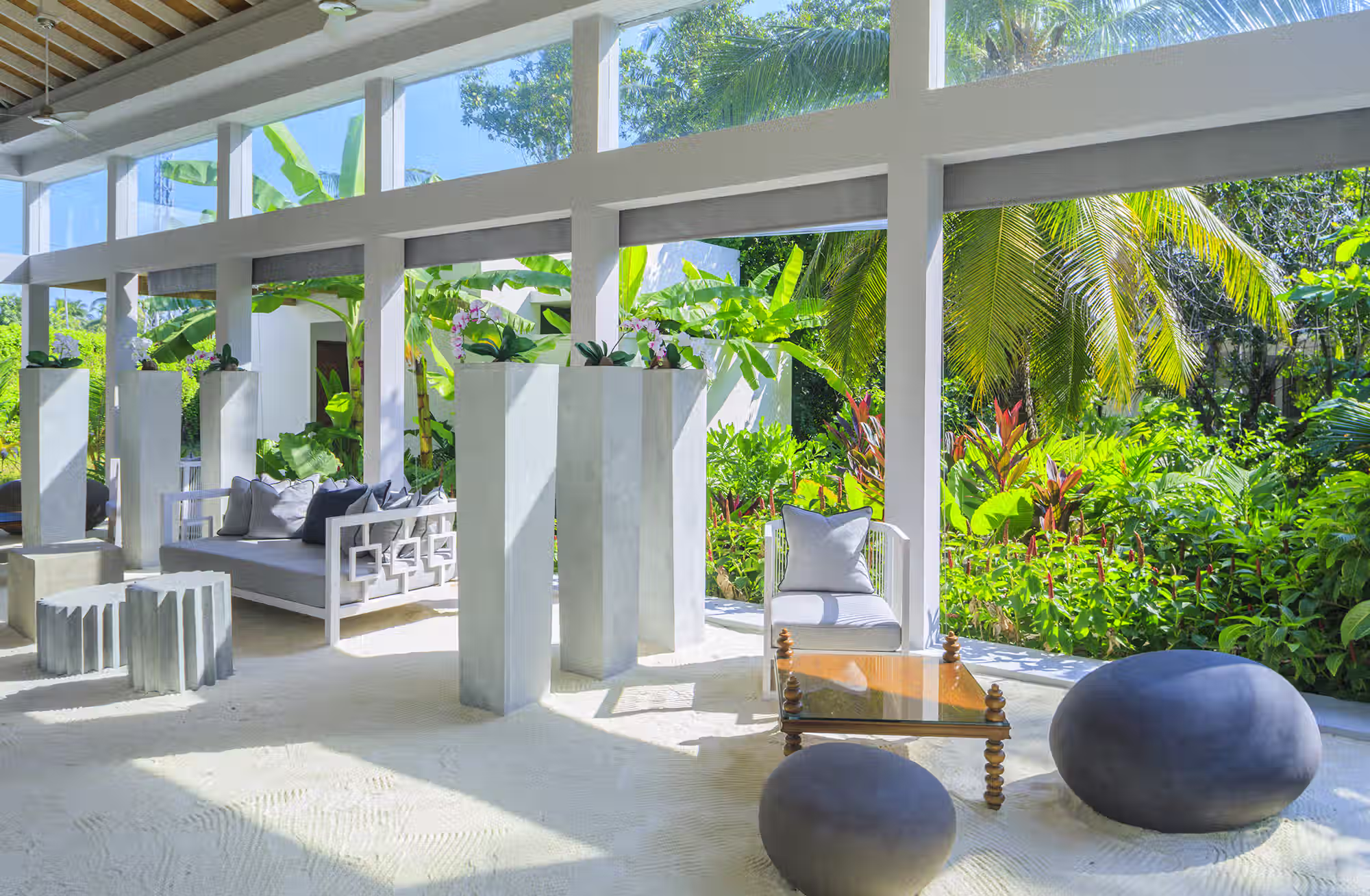 Sapori internazionali, benessere tropicale e incontri indimenticabili con il mondo marino. — immagine 7