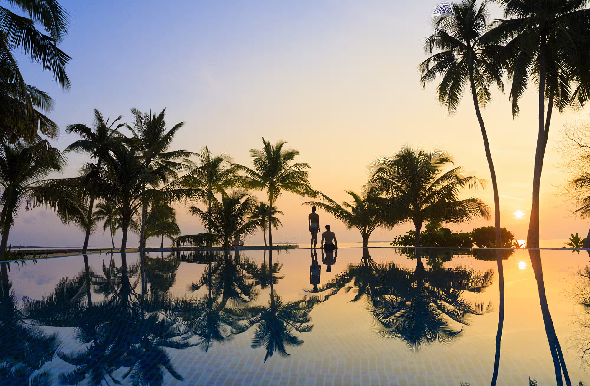 Sapori internazionali, benessere tropicale e incontri indimenticabili con il mondo marino. — immagine 1
