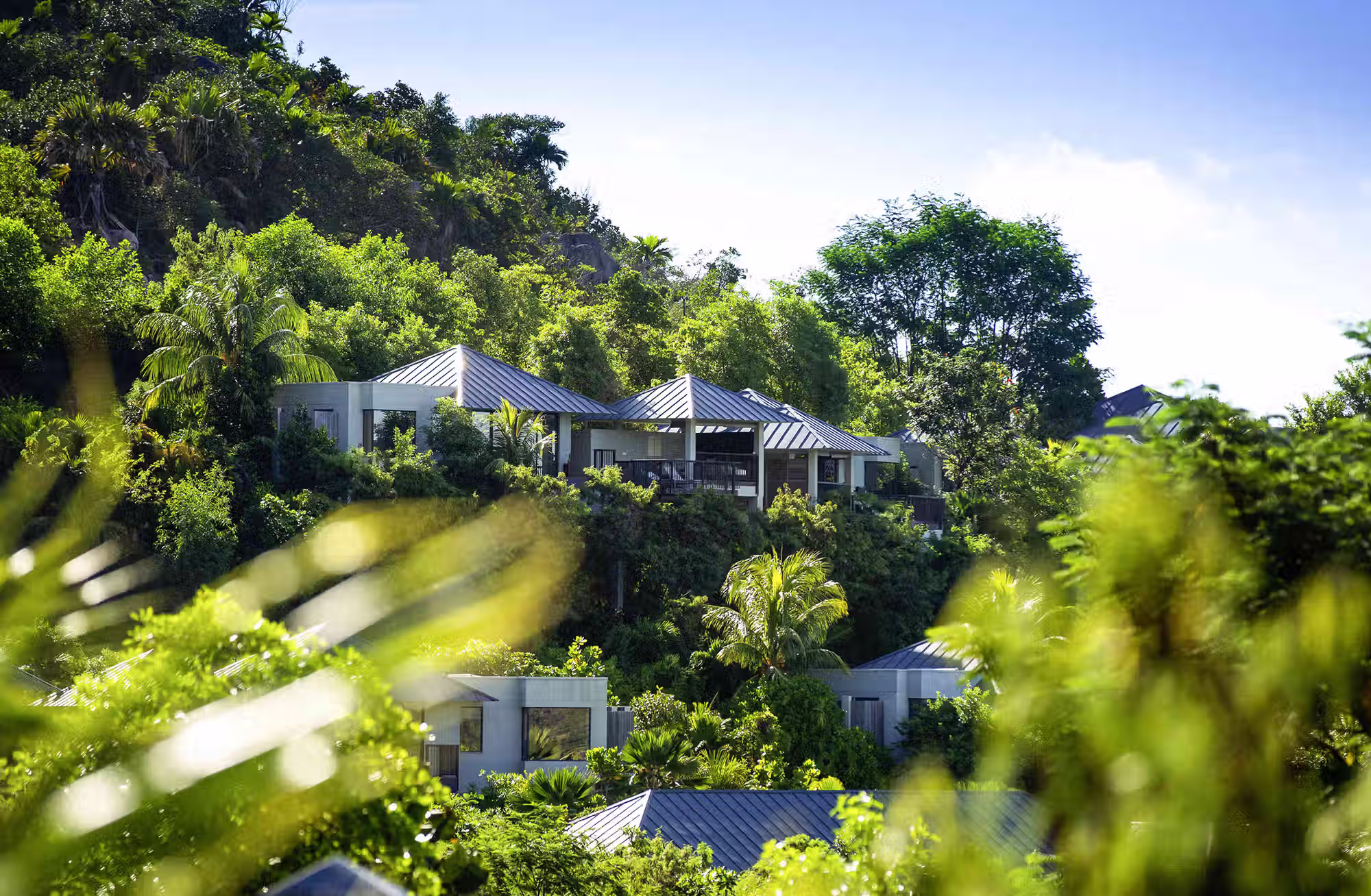Ampie residenze con piscina privata, pensate per garantire spazio, privacy e una vista privilegiata sulla natura di Praslin. — immagine 8