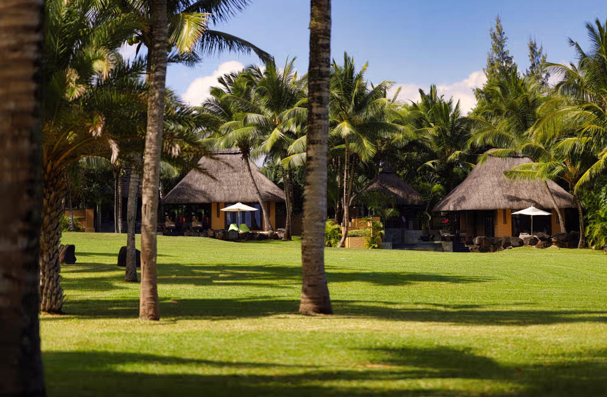 Spazi generosi, giardini privati e piscine esclusive tra vegetazione tropicale e oceano. — immagine 2