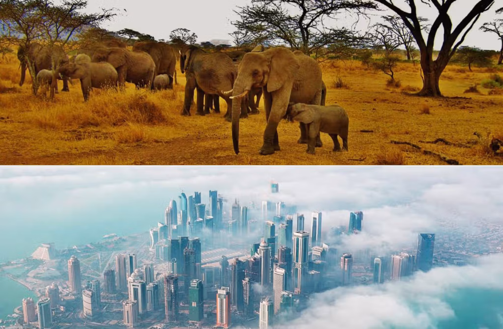 Roberto e Consuelo — Tour Tanzania - Maldive - Doha