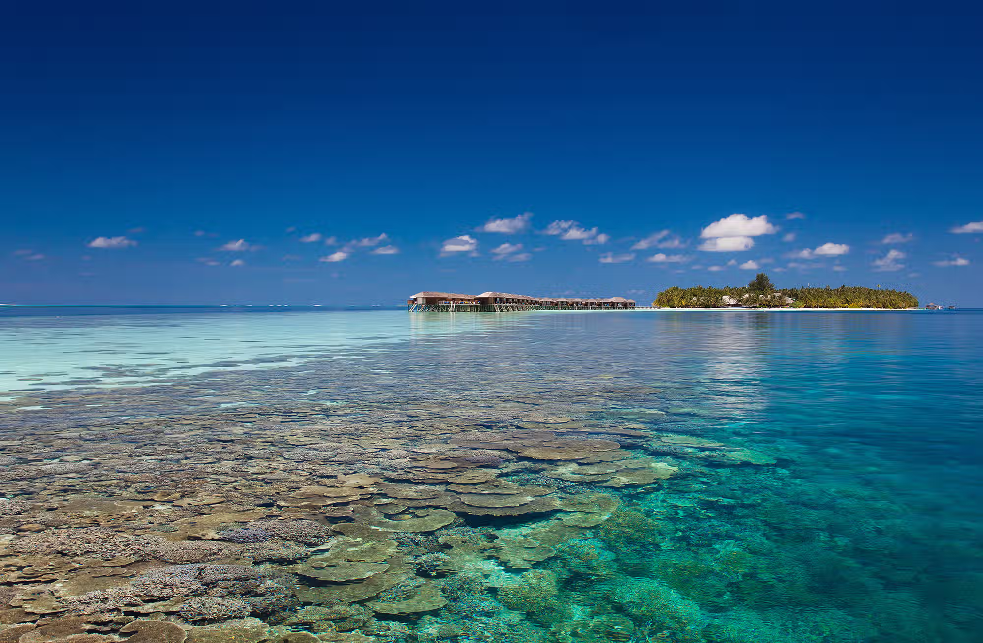 Snorkeling, diving, cucina, sport e benessere si intrecciano in un soggiorno costruito attorno al reef. — immagine 1