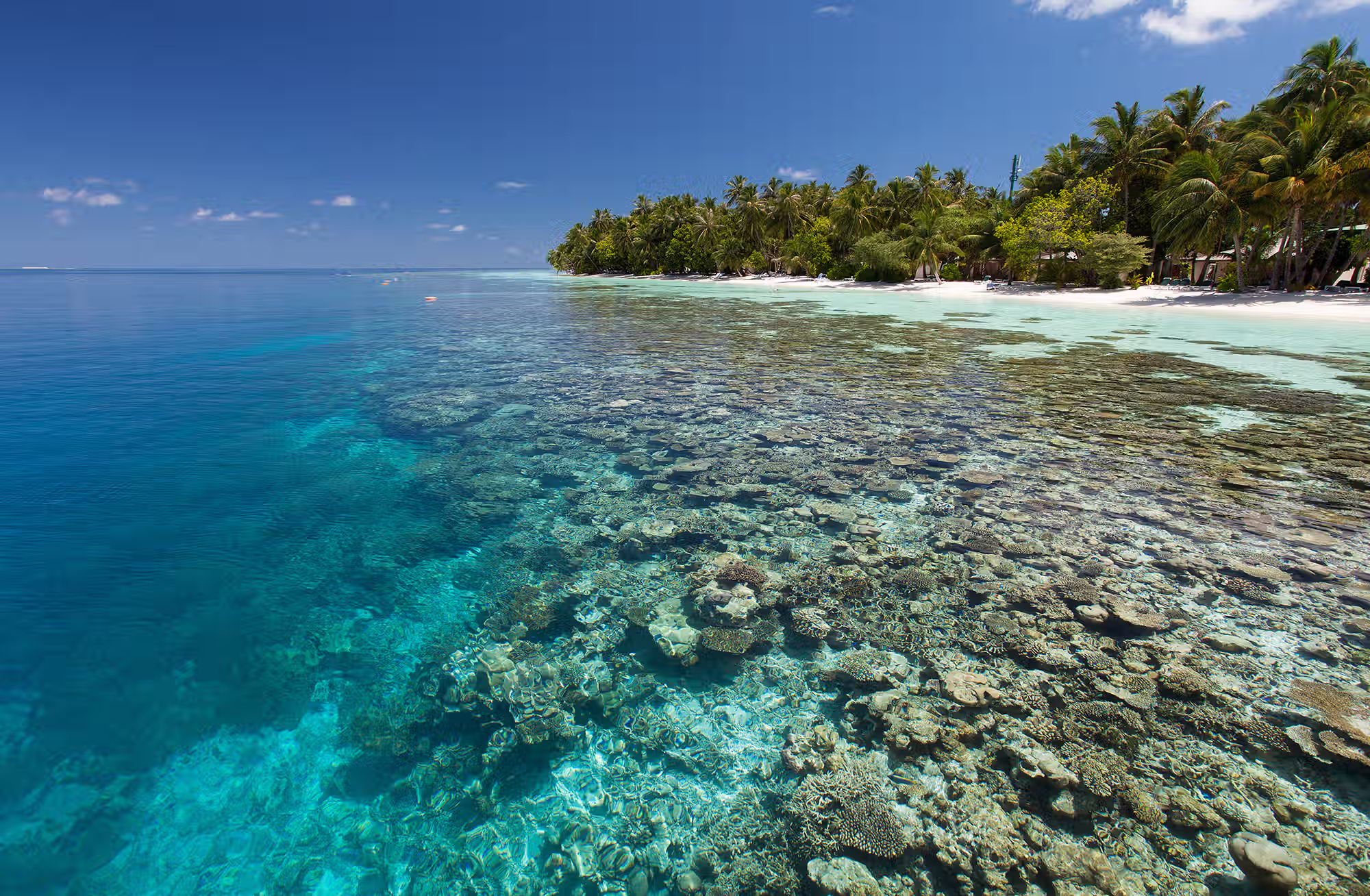 Snorkeling, diving, cucina, sport e benessere si intrecciano in un soggiorno costruito attorno al reef. — immagine 3