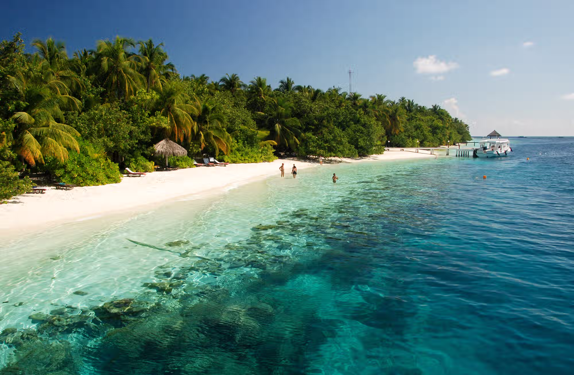 Snorkeling, diving, cucina, sport e benessere si intrecciano in un soggiorno costruito attorno al reef. — immagine 4