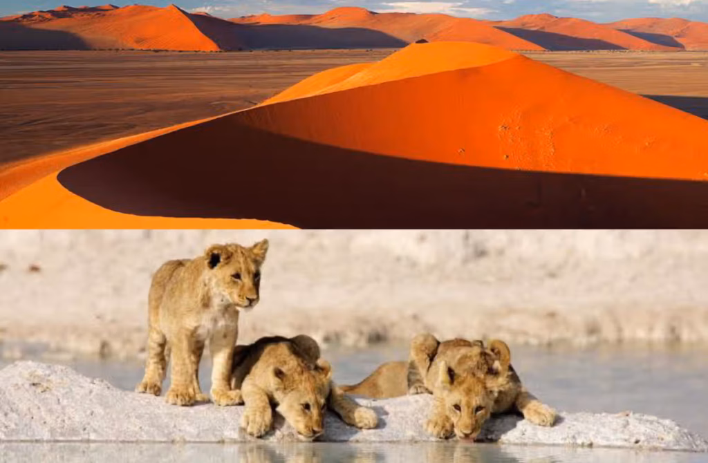Daniele e Marta — Namibia - Cape Town - Botswana - Seychelles